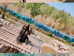 -济南野生动物世界