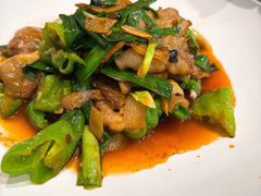 土猪回锅肉-金熊猫川菜餐厅