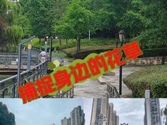 -苏州河梦清园环保主题公园