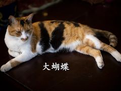 -龙华寺