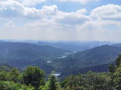 -黄埔油麻山森林公园