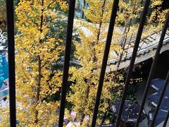 -Dough&Joe团憩(瑞虹天地月亮湾店)