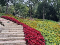 -沂蒙云瀑洞天景区