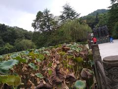 -富乐山