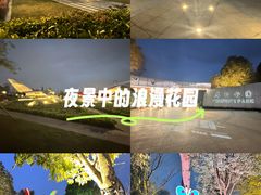 -成飞公园