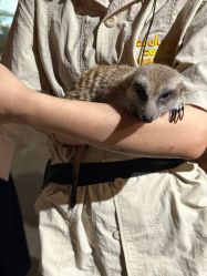 -Zoolung Zoolung动物主题公园(海信广场店)