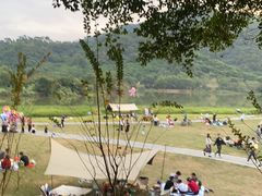 -风云岭森林公园