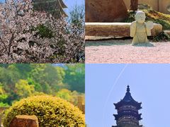 -牛首山文化旅游区