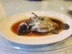 -红城阁·上海味道(四平路店)