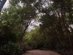 -仙岳公园