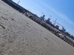 -南汇新城海滩