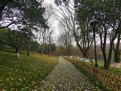 -古韵餐厅(湖畔大学店)