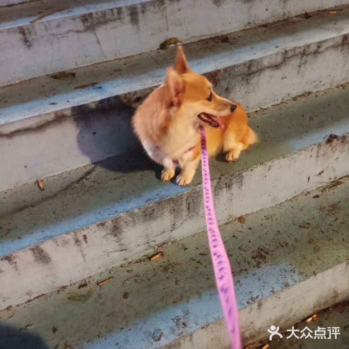 瑞派动物医院·绝育·犬猫全科·预防医学(光景江南中店)图片