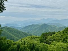 -莫干山风景区