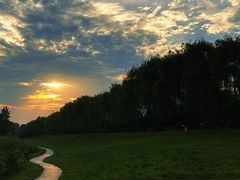 -洨河生态公园