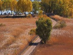 -野鸭湖国家湿地公园