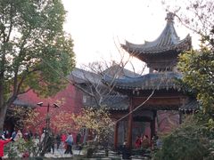 -广富林郊野公园
