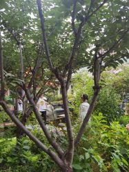 -爱儿美儿童摄影(五路居花园别墅店)