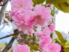 -眉山湿地公园(东坡区)