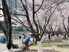 -西北湖绿化广场