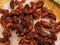 -鸽子窝(青塔店)