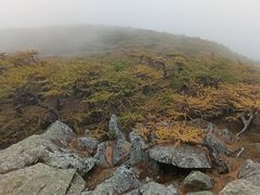 -秦岭风景区