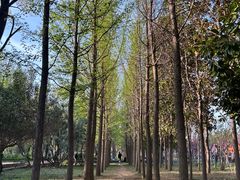 -洛阳市隋唐城遗址植物园