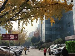 -四川大学华西口腔医院(华西院区)