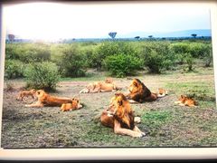 -罗红摄影艺术馆