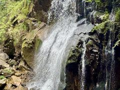 -大鄣山卧龙谷景区