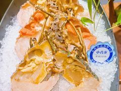 鲜活小青龙-东海怡品海鲜豆捞(舟宿夜江店)