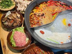 -阳阳老火锅(小南门店)