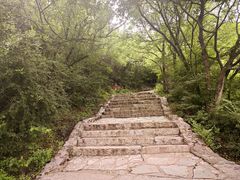 -香山公园