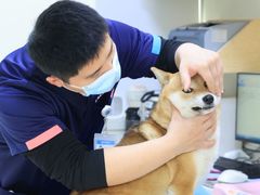 -美联众合动物医院·24h京西诊疗中心
