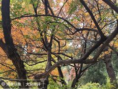 -香山公园