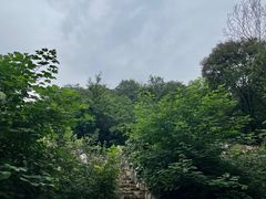 -北京西山国家森林公园