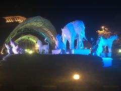 -清迈夜间动物园