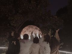 -恬阿姨庭院餐厅·生日宴