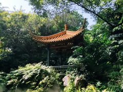 -广州兰圃