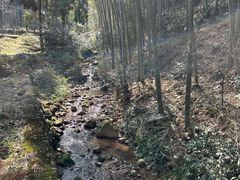 -仙霞关景区