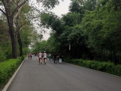 -长春市南湖公园