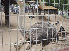 -淄博聊斋城景区