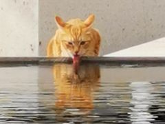 -星巴克(深圳前海企业公馆店)