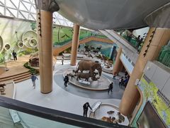 -陕西自然博物馆