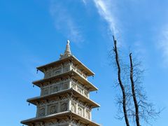 -龍聚祥烧麦馆(鼓楼店)