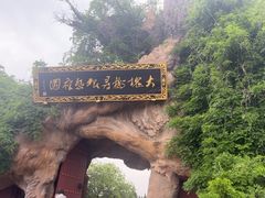 -大槐树寻根祭祖园