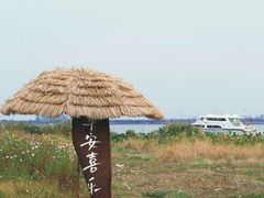 -莲花岛景区