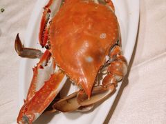 -高佳庄·海鲜酒楼(东港店)