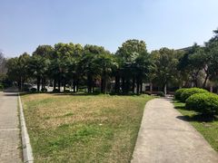 -浦明师范学校附属小学(东城校区)