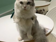 -怪兽屋·羊驼·猫咖·狗咖(俊华广场店)